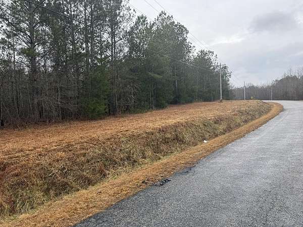 24 Acres of Recreational & Residential Land for Sale in Donalds, South Carolina