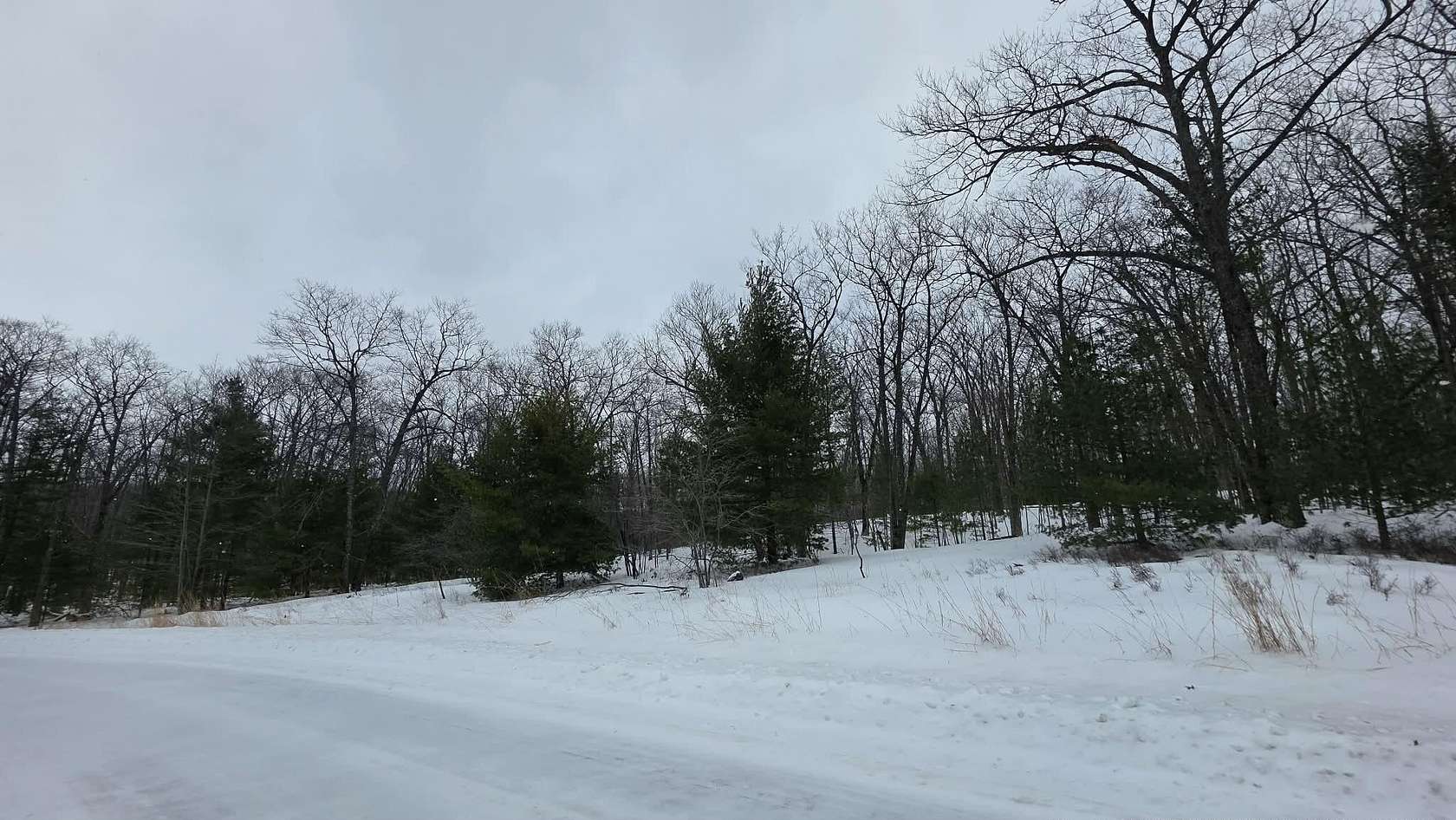 Residential Land for Sale in Spruce, Michigan