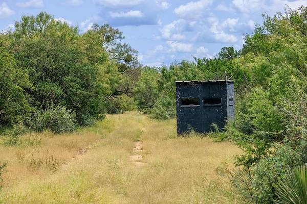 56 Acres of Land for Sale in Doss, Texas
