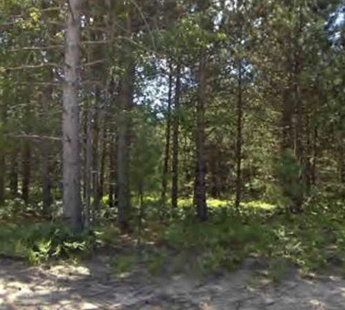 0.45 Acres of Land for Sale in Kaleva, Michigan