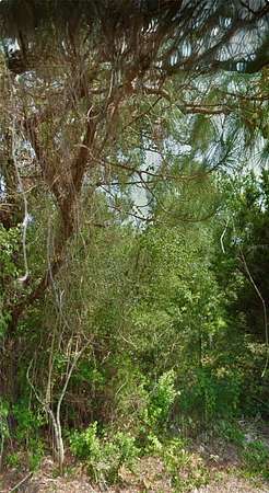 0.23 Acres of Residential Land for Sale in Palm Coast, Florida