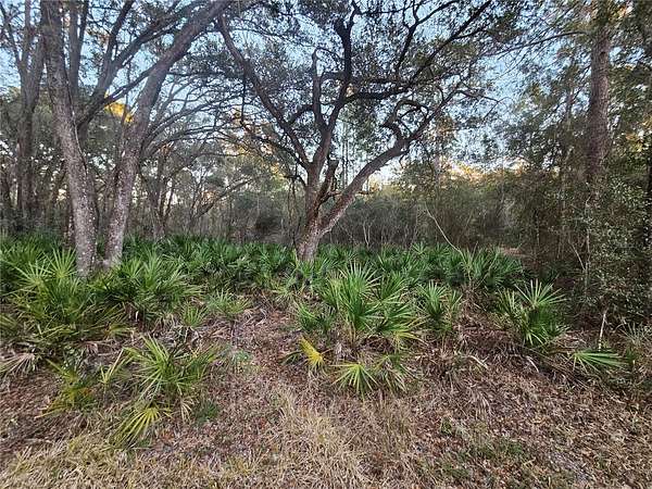 0.98 Acres of Residential Land for Sale in Webster, Florida