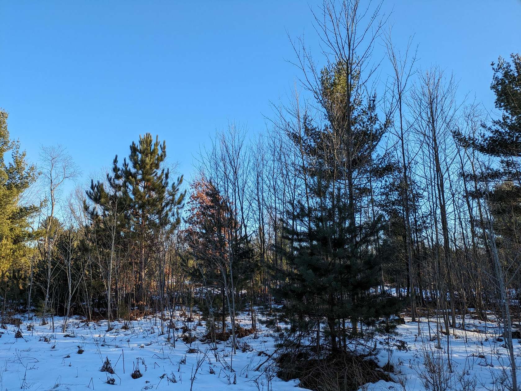 0.45 Acres of Land for Sale in Kaleva, Michigan