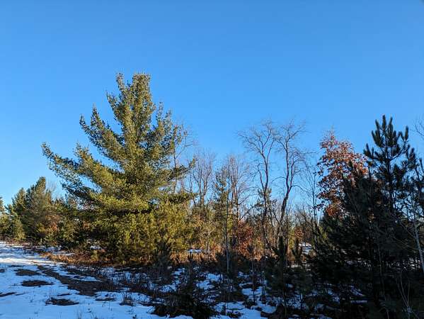 0.45 Acres of Land for Sale in Kaleva, Michigan