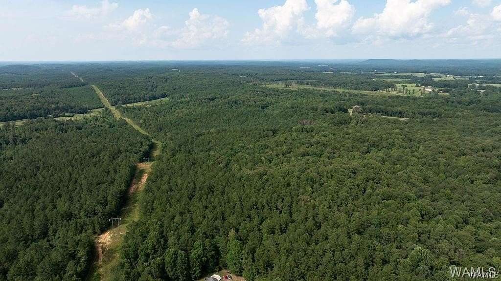 112 Acres of Recreational Land & Farm for Sale in Fayette, Alabama