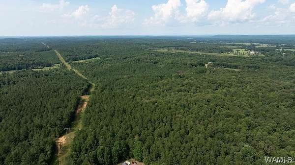 112 Acres of Recreational Land & Farm for Sale in Fayette, Alabama