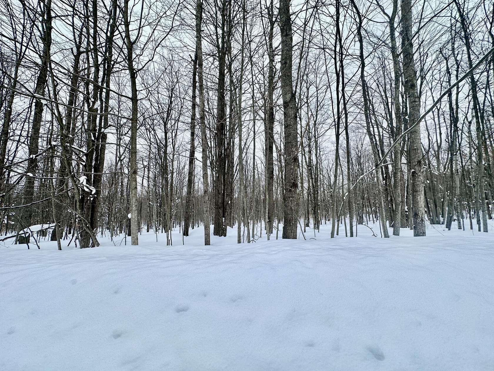 0.47 Acres of Residential Land for Sale in Elmira, Michigan