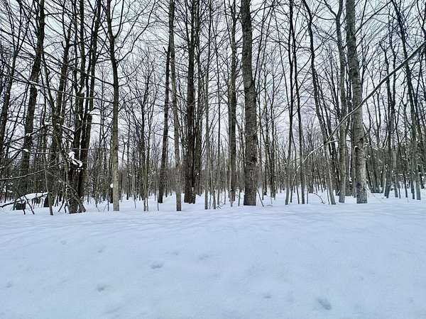 0.47 Acres of Residential Land for Sale in Elmira, Michigan