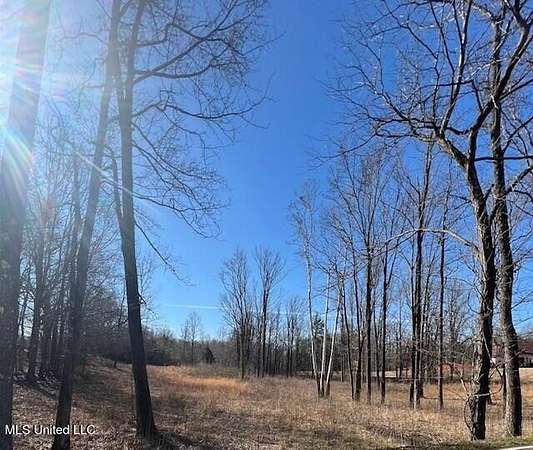 2.6 Acres of Residential Land for Sale in Lake Cormorant, Mississippi