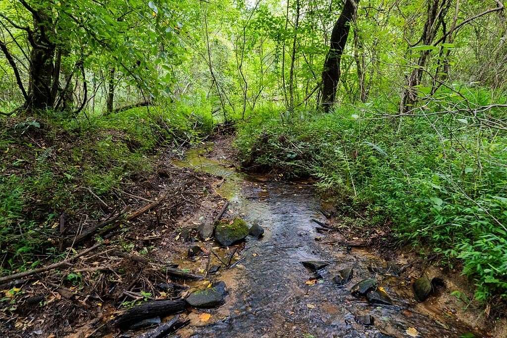 13.6 Acres of Recreational & Residential Land for Sale in Ellijay, Georgia