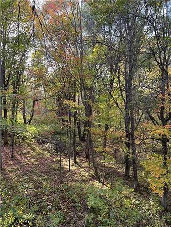 4 Acres of Land for Sale in Crosslake, Minnesota