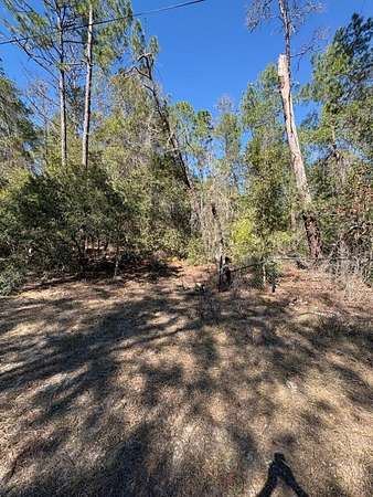 1 Acre of Residential Land for Sale in Paisley, Florida
