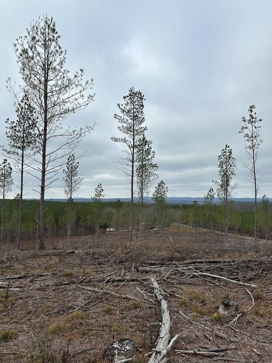 5 Acres of Land for Sale in Crossville, Tennessee