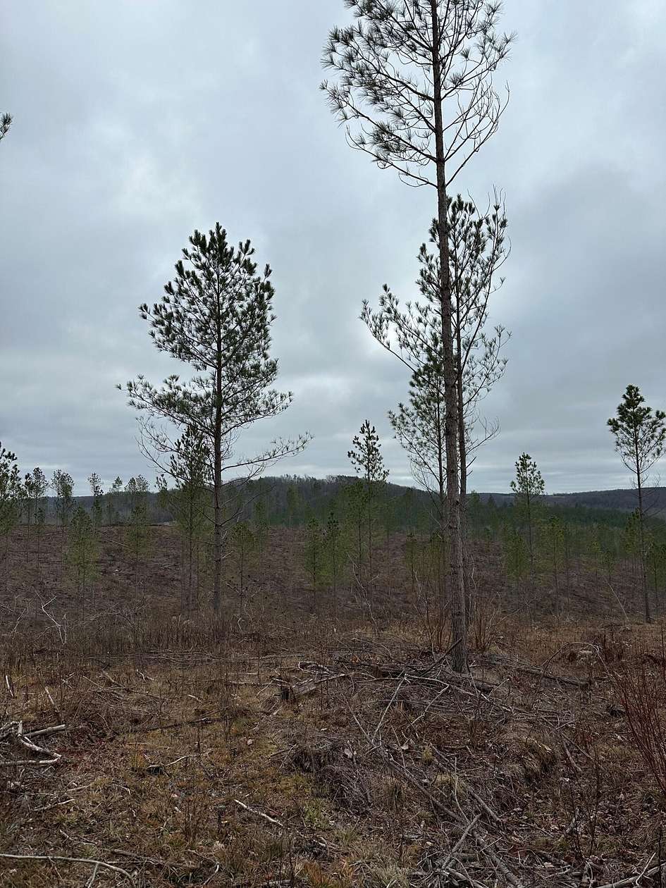 5 Acres of Land for Sale in Crossville, Tennessee