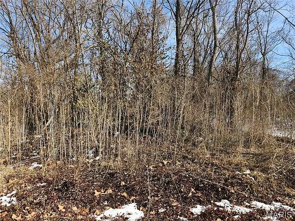 0.73 Acres of Residential Land for Sale in East St. Louis, Illinois