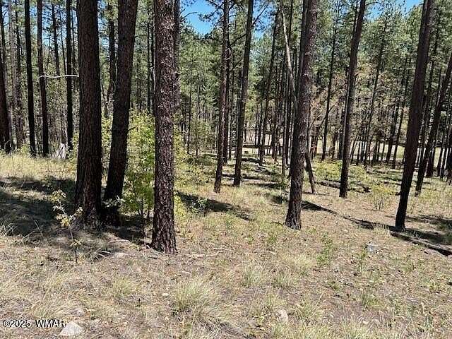 1 Acre of Residential Land for Sale in Alpine, Arizona