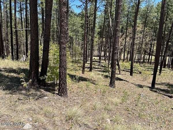 1 Acre of Residential Land for Sale in Alpine, Arizona
