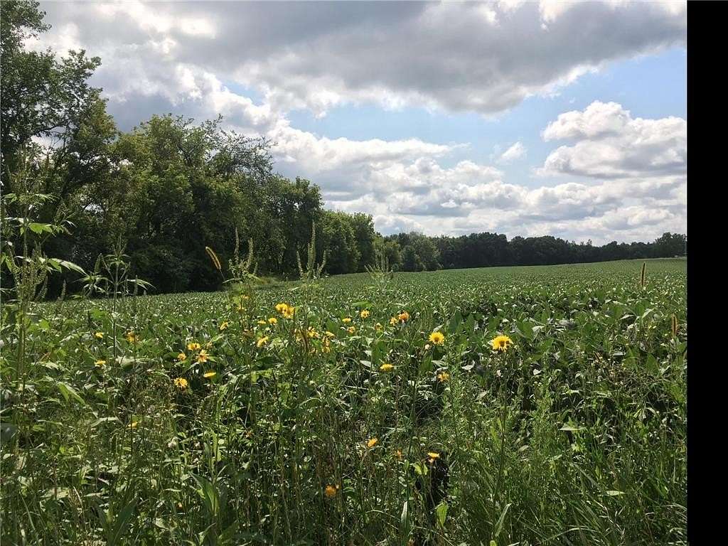 10 Acres of Land for Sale in Medina, Minnesota