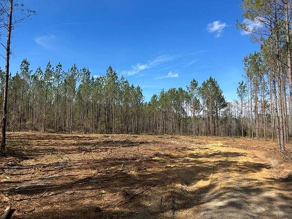 15 Acres of Land for Sale in Cottonwood, Alabama