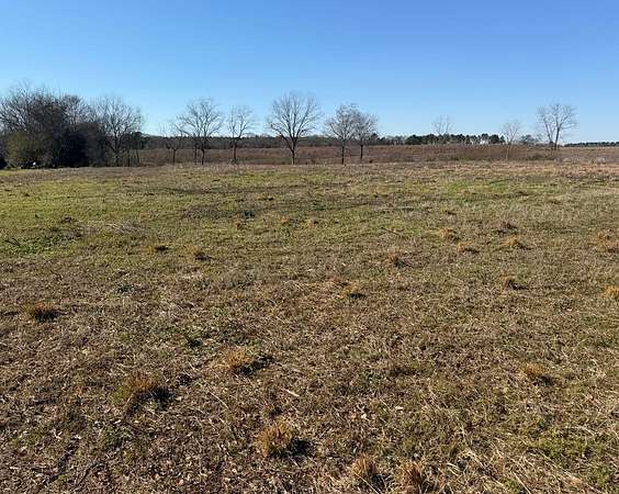 3.34 Acres of Residential Land for Sale in Newville, Alabama
