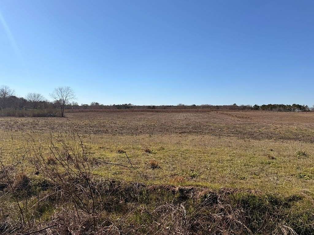 3.43 Acres of Residential Land for Sale in Newville, Alabama