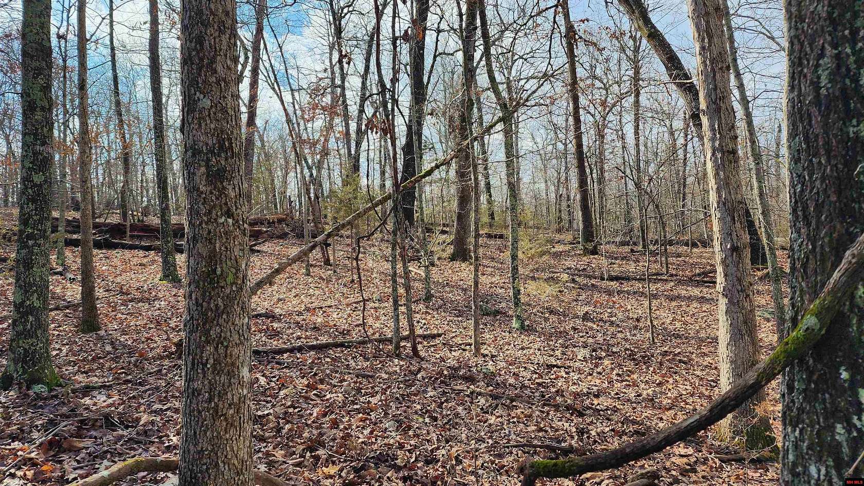 29.8 Acres of Land for Sale in Bull Shoals, Arkansas