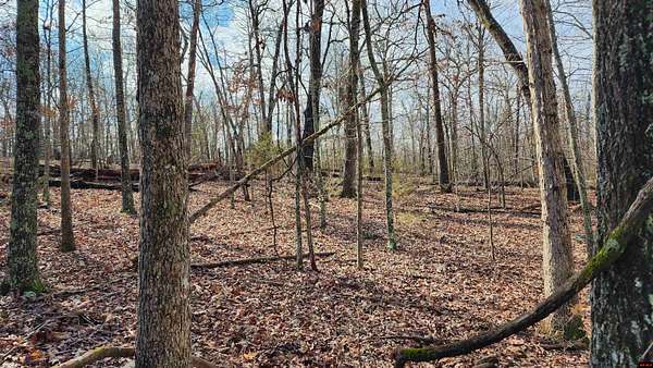 29.8 Acres of Mixed-Use Land for Sale in Bull Shoals, Arkansas