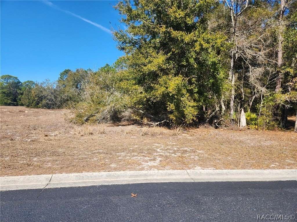 0.36 Acres of Land for Sale in Dunnellon, Florida