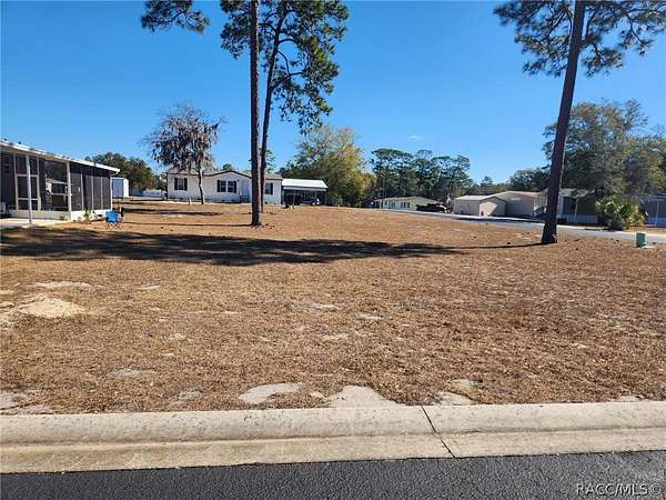0.23 Acres of Land for Sale in Dunnellon, Florida