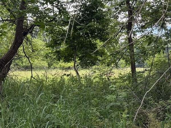 9 Acres of Residential Land for Sale in Howard City, Michigan