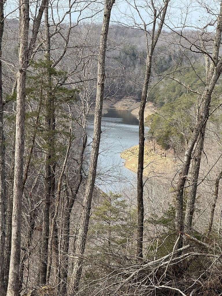 22 Acres of Recreational & Residential Land for Sale in Albany, Kentucky