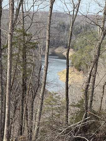 22 Acres of Recreational & Residential Land for Sale in Albany, Kentucky