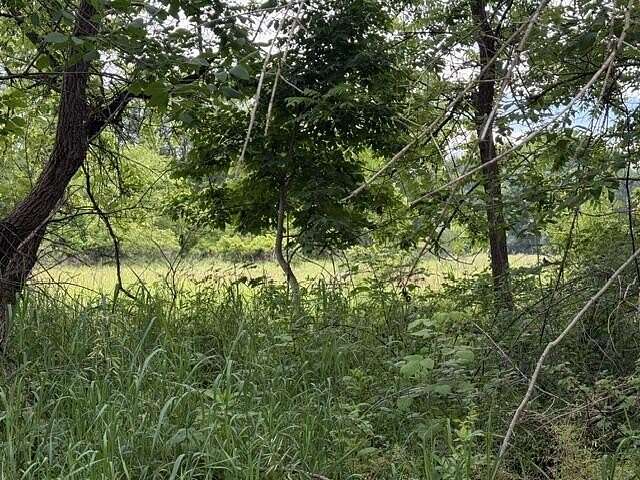 6.1 Acres of Residential Land for Sale in Howard City, Michigan