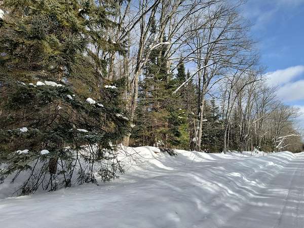 26.1 Acres of Recreational Land for Sale in Watersmeet, Michigan