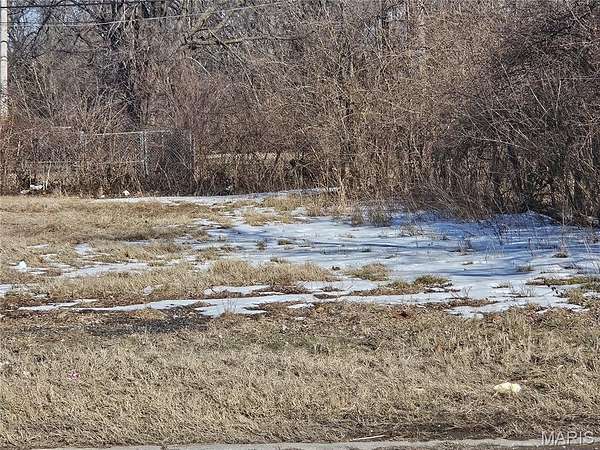 0.14 Acres of Residential Land for Sale in East St. Louis, Illinois