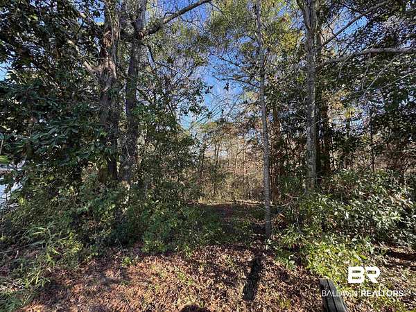 0.52 Acres of Residential Land for Sale in Spanish Fort, Alabama