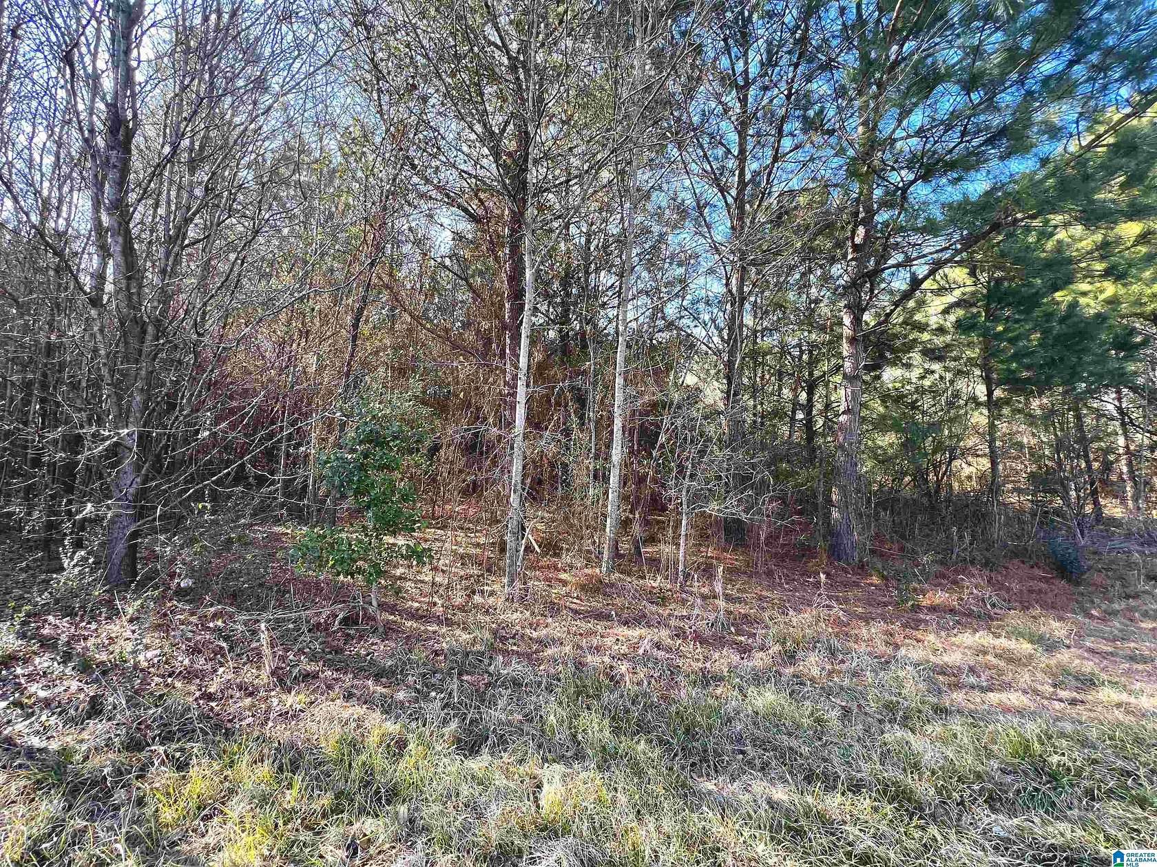 0.99 Acres of Residential Land for Sale in Pleasant Grove, Alabama