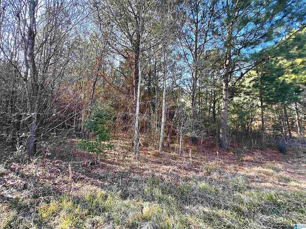 0.99 Acres of Residential Land for Sale in Pleasant Grove, Alabama