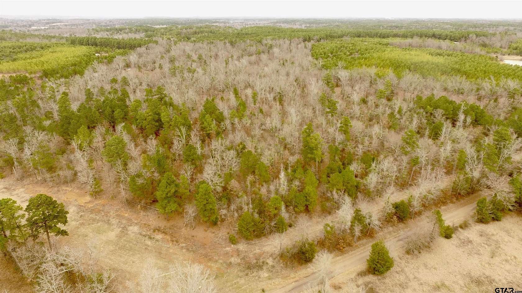 15 Acres of Recreational & Residential Land for Sale in Lone Star, Texas
