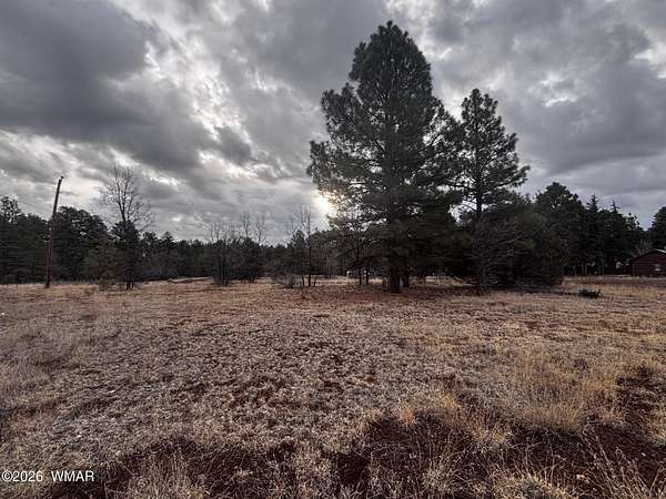 2.17 Acres of Commercial Land for Sale in Lakeside, Arizona