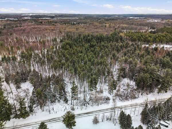 36 Acres of Recreational Land for Sale in Le Roy, Michigan