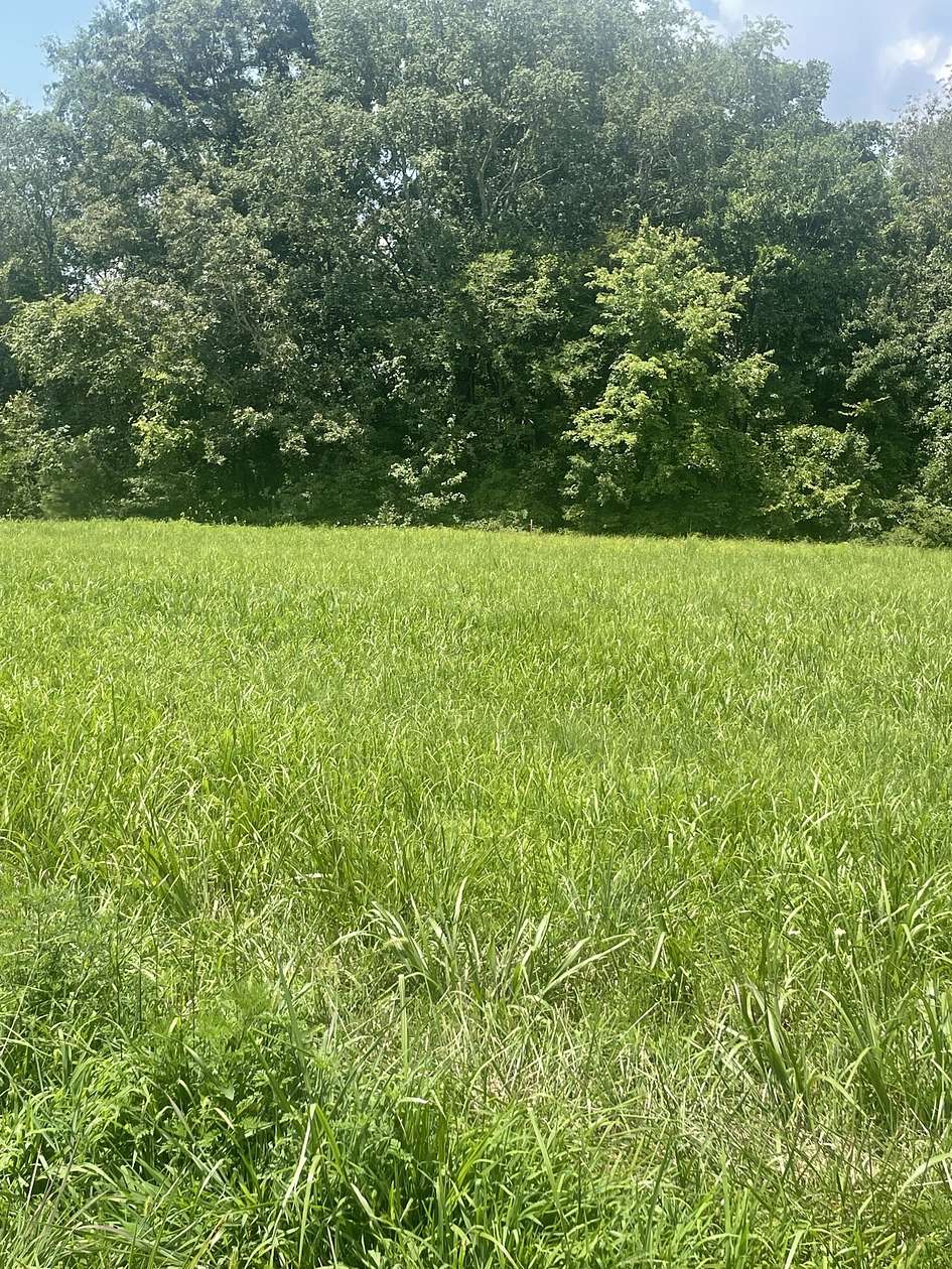 0.69 Acres of Residential Land for Sale in Winchester, Tennessee