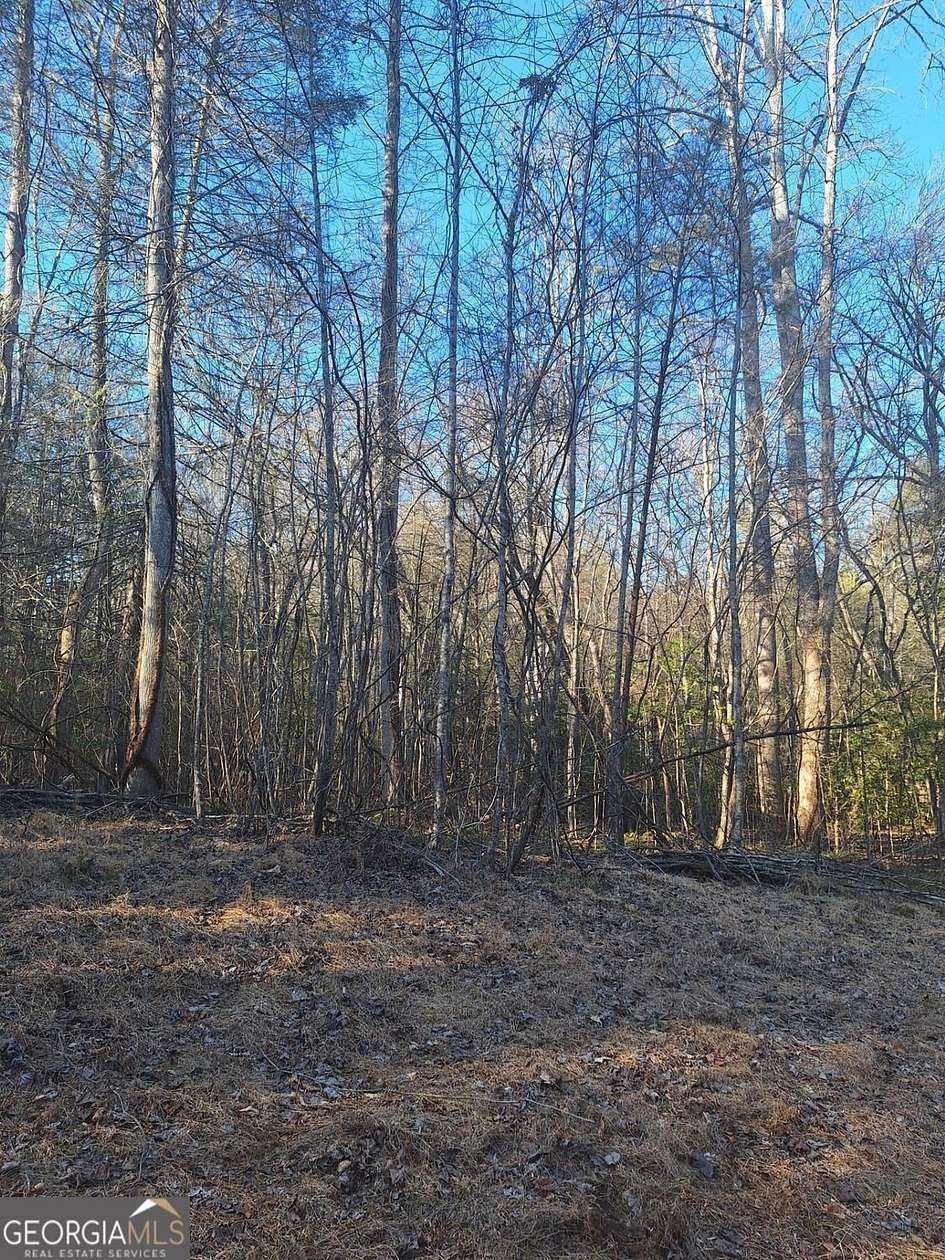 4.75 Acres of Residential Land for Sale in Blue Ridge, Georgia