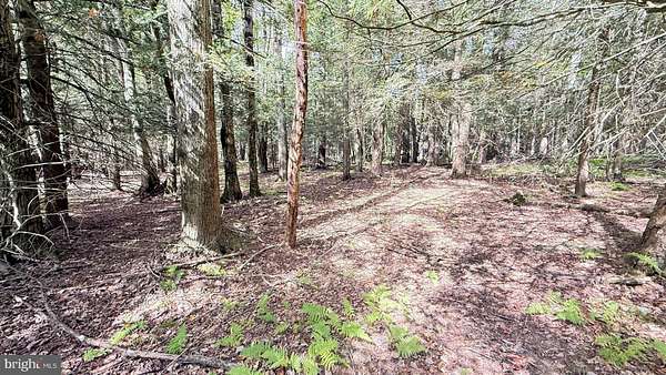 0.36 Acres of Residential Land for Sale in Lake Ariel, Pennsylvania