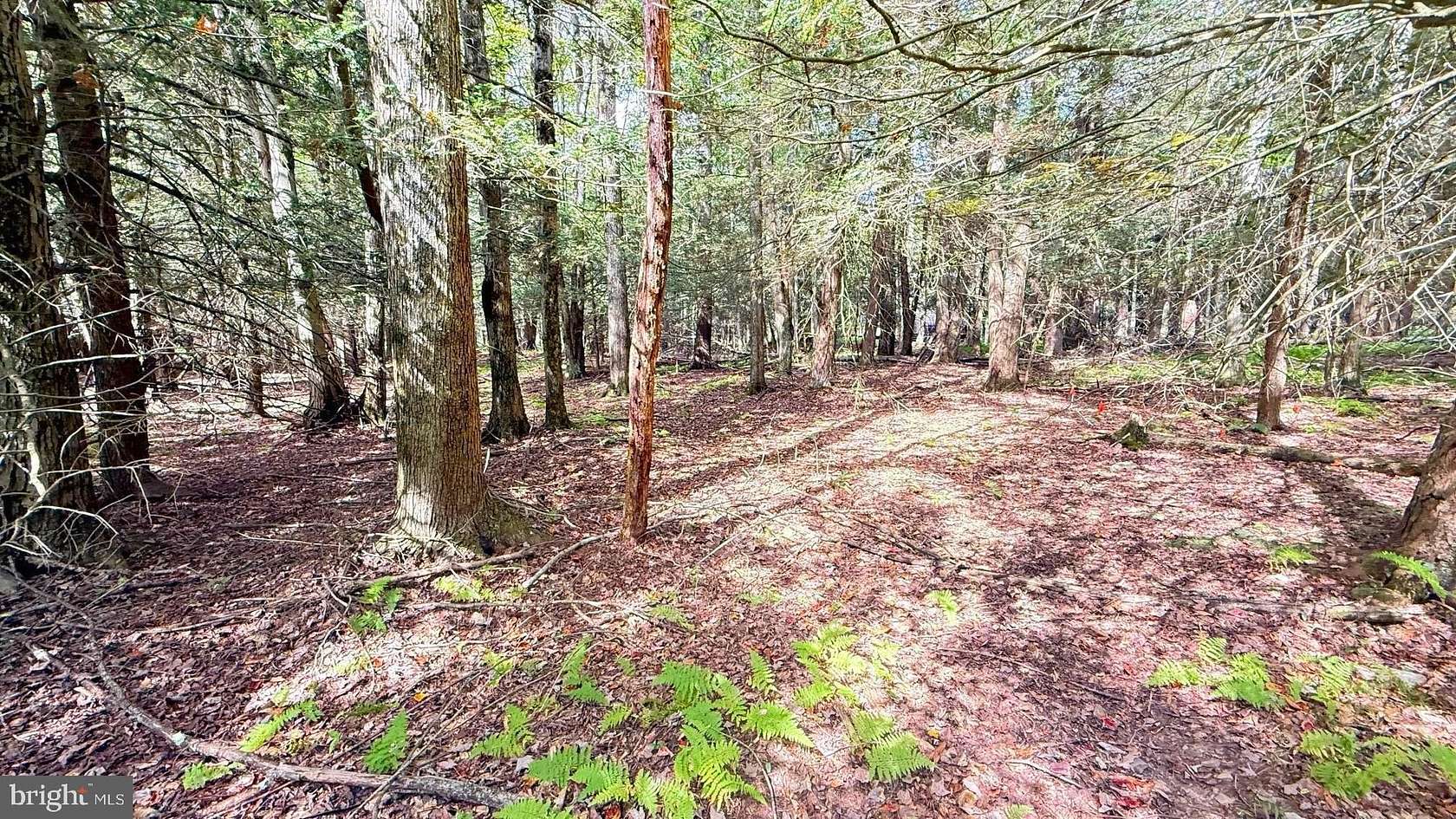 0.34 Acres of Residential Land for Sale in Lake Ariel, Pennsylvania