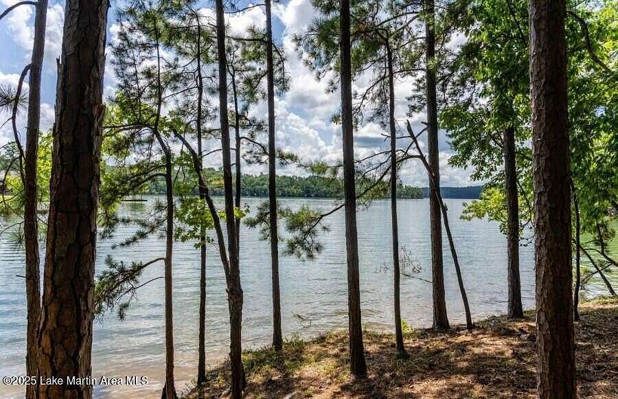 0.81 Acres of Land for Sale in Alexander City, Alabama