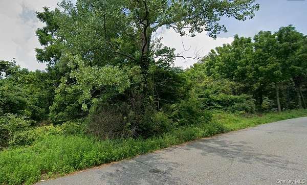 0.56 Acres of Residential Land for Sale in Spring Valley, New York