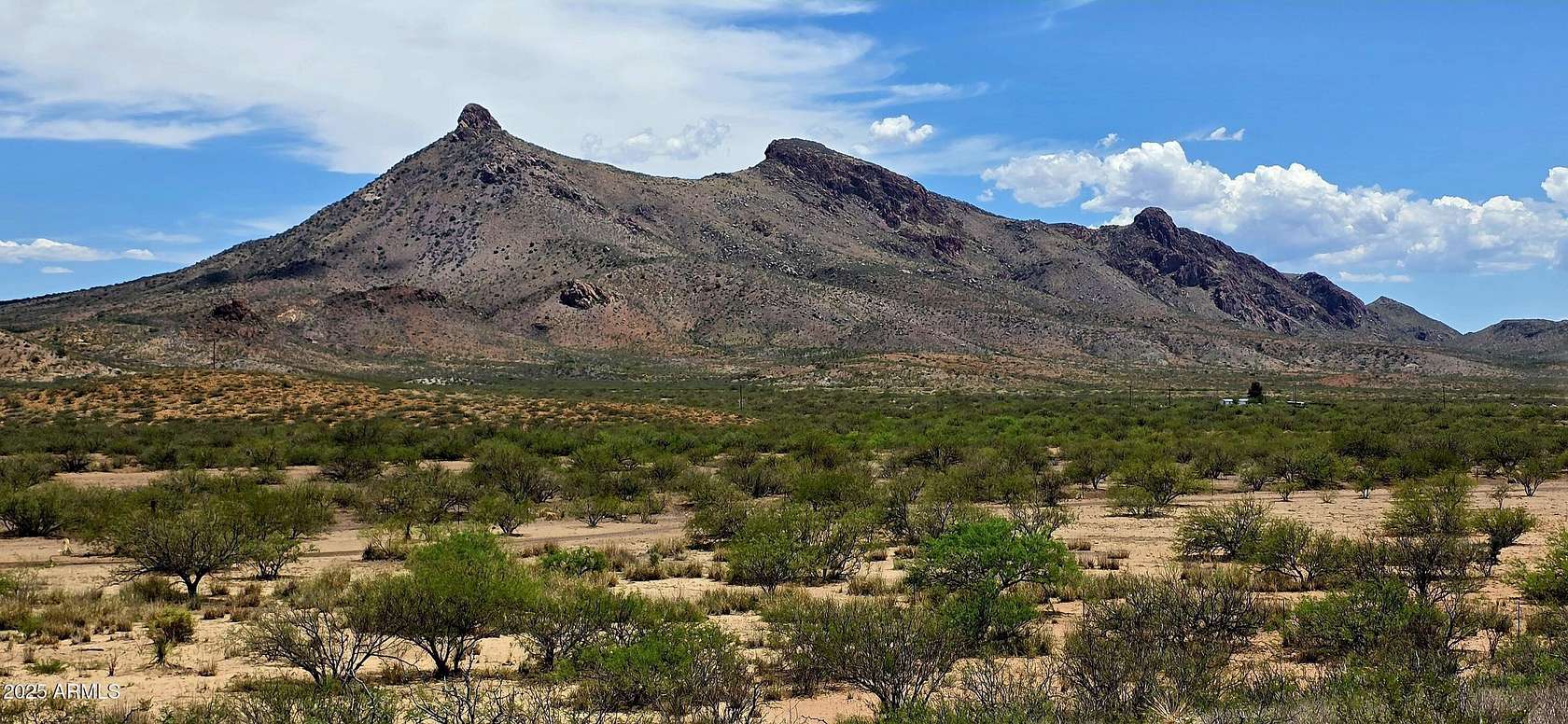 19.2 Acres of Land for Sale in Douglas, Arizona