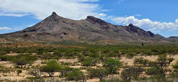 19.2 Acres of Land for Sale in Douglas, Arizona