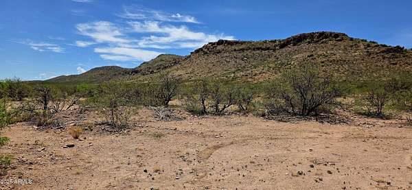 19.6 Acres of Land for Sale in Douglas, Arizona